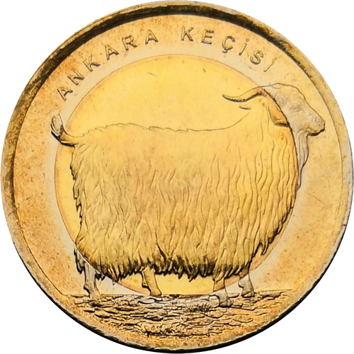 Монета Турции 1 лира 2015 Ангорская коза