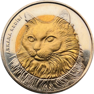 Монета Турции 1 лира 2010 год Кошка