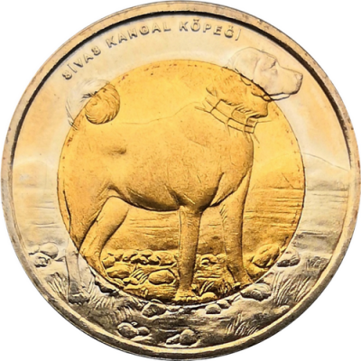 Монета Турции 1 лира 2010 год Собака