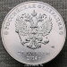 Монета 25 рублей 2014 Эмблема. XXII Олимпийские зимние игры и XI Паралимпийские зимние игры 2014 года в г. Сочи