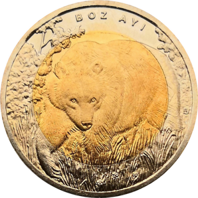 Монета Турции 1 лира 2011 год Медведь