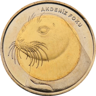 Монета Турции 1 лира 2013 Тюлень