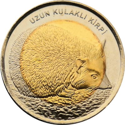 Монета Турции 1 лира 2014 год Ёж