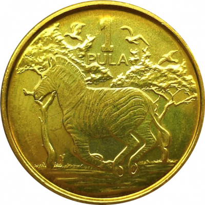 Монета Ботсваны 1 пула 2013 год