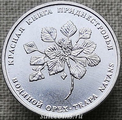 Монета Приднестровья 1 рубль 2019 год Водяной орех