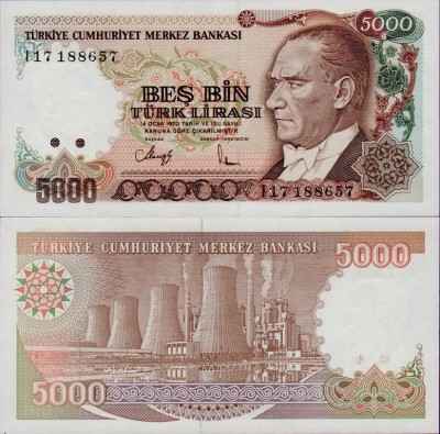 Банкнота Турции 5000 лир 1990 год