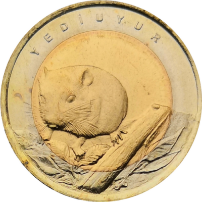 Монета Турции 1 лира 2016 Соня-полчок