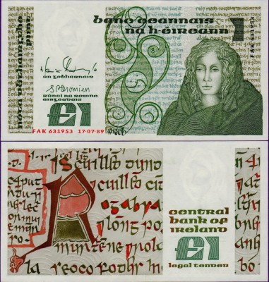 Банкнота Ирландии 1 фунт 1989 год