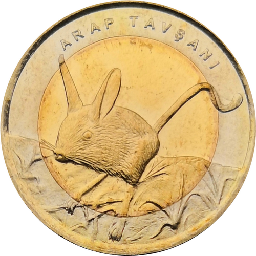 Монета Турции 1 лира 2016 Малоазиатский тушканчик