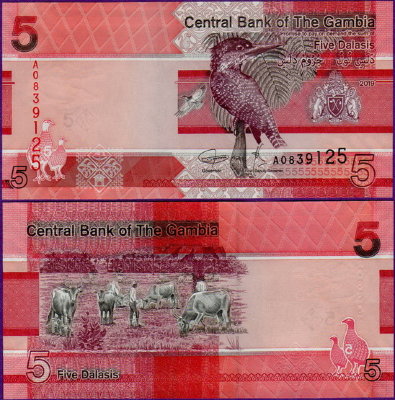 Банкнота Гамбии 5 даласи 2019